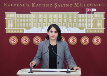 Newroz Uysal Aslan li meclisê bang kir: Ji Kurdî re statu
