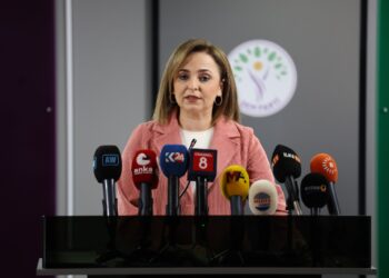 Ayşegul Dogan: Em ê ji bo pêşniyarên hatinê kirin bibin qanûn bibin şopdar