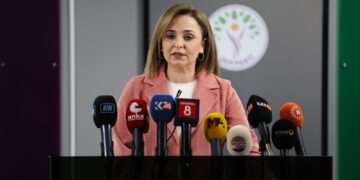Ayşegul Dogan: Em ê ji bo pêşniyarên hatinê kirin bibin qanûn bibin şopdar
