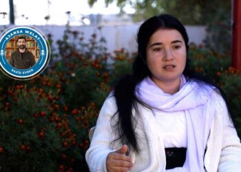 Cîhan Celo: Tirkiye û rayedarên Îraqê li ser êrişan li hev kirine