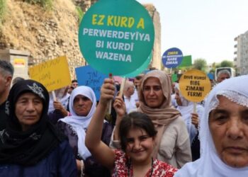 Parlamenterên DEM Partiyê bi Kirmanckî pêşniyazname dan Meclisê