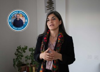 Neslîhan Şedal: Armanca êrişan têkbirina paradîgmaya neteweya demokratîk bû