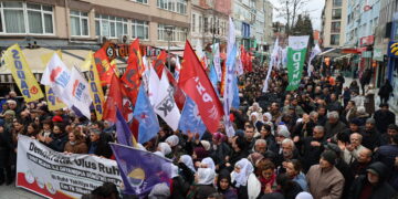 ‘Di dilê me de tu wateya sînoran tune ye’
