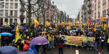 Li Strasbûrgê 100 hezar kes dimeşe: Azadî ji Rêber Apo re statû ji Rojava re
