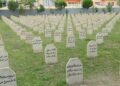 Qirkerdişê Helebce: “Dayê boya sayan yena”
