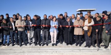 Şaredarîya Hêneyî bazarê hewanan akerd