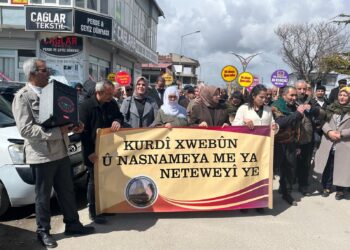 Cevdet Zîlanli: Tu ceza nikarin pêşiya xebatên ziman û çanda me bigirin