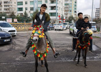 Sûwarên Qerejdaxê li Newrozê ne