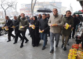 DEM Partiyê li Colemêrgê xelkê vexwend pîrozbahiya Newrozê