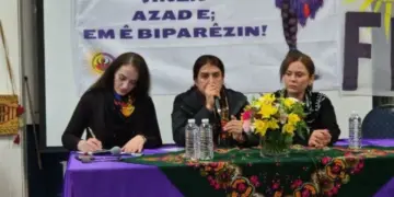 Rohilat Efrîn: Piştevaniya çar aliyan encamên êrişan bisînor kir