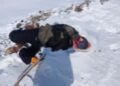 Cenazeyê Fehîm Tosun ev çar roj in li erdê ye