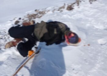 Cenazeyê Tosun du roj in li erdê ye