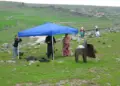 Li Rojava kêliyên rengîn ên Newrozê