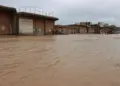Li Qamişloyê çem hilçû mal di bin avê de man