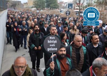 Serhat Çakmak: Gavên qanûnî neyên avêtin pêvajo dê bikeve xetereyê