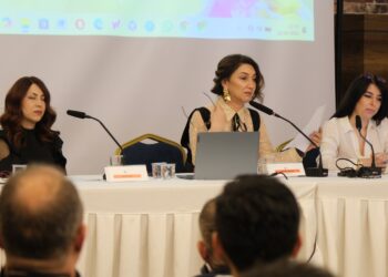 Berfîn Zenderlîoglu: Şano taktîka ji nû ve hebûnê ye
