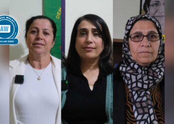 Aktîvîstên TJAyê yên Êlihê: Ji bo azadiya Serok em tev li meşê bibin