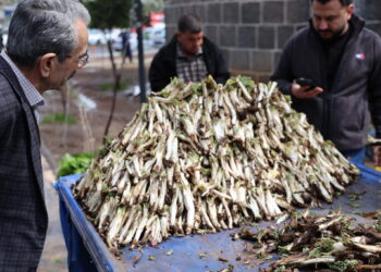Amed de kenger û gulik dezgeyan ser o yê