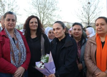 Ardil Çeşme li Amedê bi girseyî hate pêşwazîkirin
