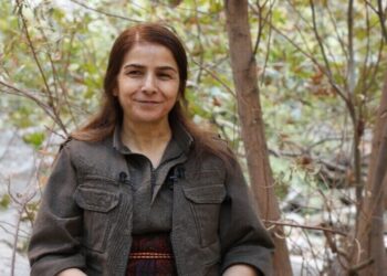 Çîgdem Dogu: Proses tena dewlete rê nêro caverdayene