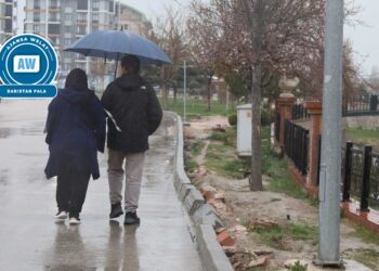 Parka Koşuyolu yê Wanê hat tengkirin: Ji bo asfaltê cîh vedikin