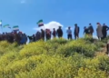 Li gundewarên Kobaniyê provokasyona komên Tirkiye û Şamê
