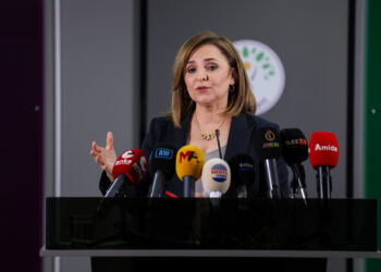 Ayşegul Dogan: Ji bo aştiyê divê gavavêtin bi derengî neyê xistin