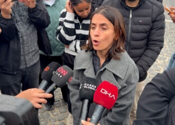 Ji bo binçavkirina Handan Sonelê serlêdan hate kirin