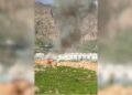 CPT: Di êrişa ser Kampa Sûrdaş de 3 kes birîndar bûn