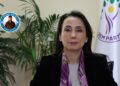 Tulay Hatîmogullari: Pêvajo di qonaxeke krîtîk de ye divê qanûn bên çêkirin