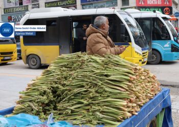 Ribêse dezgeyan ser o cayê xo girewt: Dermanê nêweşîyan o