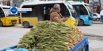 Ribêse dezgeyan ser o cayê xo girewt: Dermanê nêweşîyan o