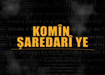 Konferansên rêveberiyên herêmî yên DEM Partiyê didomin
