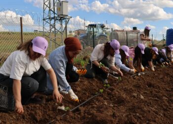 Li Cizîrê bîstanê komuna jinan û li Kerboranê Mala Tendûrê hat vekirin