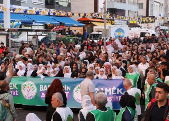 Tulay Hatîmogullari: Divê statu, şert û mercên Abdullah Ocalan bê diyarkirin