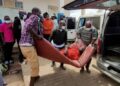  Kongo de 118 kesî tebaqê ebola ra cuya xo ra bîyê