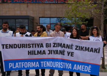 ‘Mafê tenduristiyê yê bi zimanê dayikê mafekî neteweyî ye’