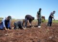 Peyas de ‘Komunê Ramitene’ ame ronayene