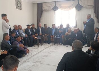 DEM Partiyê du malbat li hev anî
