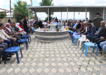 Ji bo Mehmet Dogan mewlûd hat dayîn