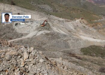 Hevserokê DEM Partiya Colemêrgê: Desthilat li ser Colemêrgê cihêkariyê dike 