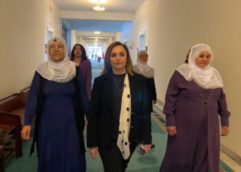 Heyeta Dayikên Aştiyê li gel AKPê civiya: Ev Laçika Spî bila bibe wesîleya aştiyê
