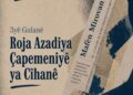DFG: Tirkîya de azadîya çapemenîye binê dorpêçî de ya