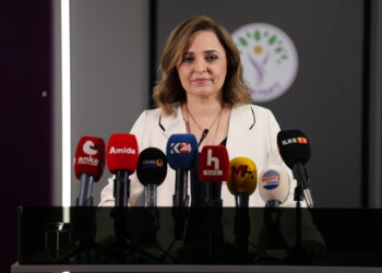 Ayşegul Dogan: Divê heyeta me demildest bi birêz Abdullah Ocalan re hevdîtin bike