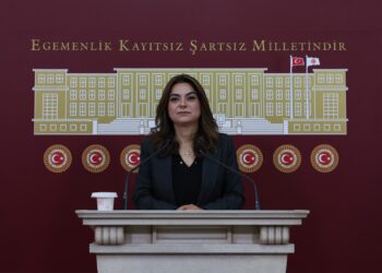 Gulistan Kiliç Koçyîgît: Pêdiviya aştiyê bi qanûnan heye