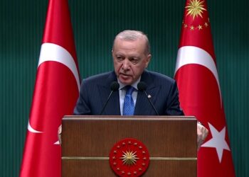 Erdogan: Saziyên me ji bo tasfiyeya ‘rêxistinê’ dixebitin
