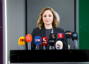 Ayşegul Dogan: Em li rex demokrasî û hiqûqê disekinin
