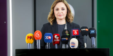 Ayşegul Dogan: Em li rex demokrasî û hiqûqê disekinin