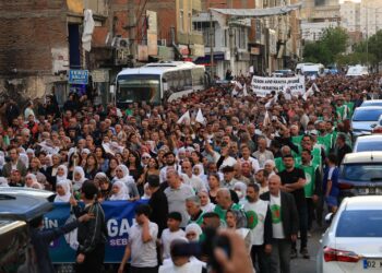 Ji DEM Partiyê meş û çalakiyên ‘Gavek ji bo Aştiyê’