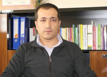 Mazlûm Dînç: Ji ber dijberên pêvajoyê pir in divê bi lez bê meşandin